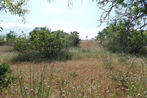 Helårsgrund i Albufeira, Faro, Albufeira - € 500.000 | Ref: 1009-2031 - foto 12