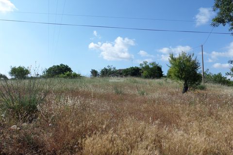 Helårsgrund i Albufeira, Faro, Albufeira - € 500.000 | Ref: 1009-2031 - foto 13