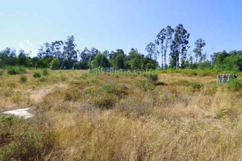 Helårsgrund i Moncao, Viana do Castelo, Moncao - € 30.000 | Ref: 3724 - foto 4