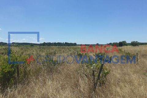 Terra a Alpiarca, Santarem, Alpiarca - € 16.000 | Ref: T-21868 - foto 2