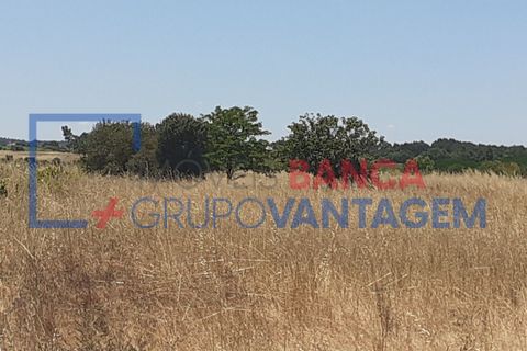 Terra a Alpiarca, Santarem, Alpiarca - € 16.000 | Ref: T-21868 - foto 5