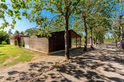 Cortijo i Inca, Mallorca, Inca - € 5.900.000 | Ref: F-100 - foto 26