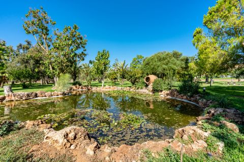 Cortijo i Inca, Mallorca, Inca - € 5.900.000 | Ref: F-100 - foto 27