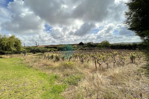 Helårsgrund i Matacaes, Lisbon, Matacaes - € 350.000 | Ref: 2552-LTBM - foto 1