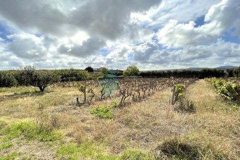 Helårsgrund i Matacaes, Lisbon, Matacaes - € 350.000 | Ref: 2552-LTBM - foto 4