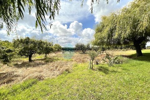 Helårsgrund i Matacaes, Lisbon, Matacaes - € 350.000 | Ref: 2552-LTBM - foto 5
