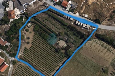Helårsgrund i Matacaes, Lisbon, Matacaes - € 350.000 | Ref: 2552-LTBM - foto 6