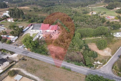Helårsgrund i Gandra e Taiao, Viana do Castelo, Gandra e Taiao - € 50.000 | Ref: TER_87 - foto 1