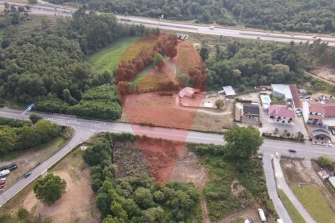Helårsgrund i Gandra e Taiao, Viana do Castelo, Gandra e Taiao - € 50.000 | Ref: TER_87 - foto 3
