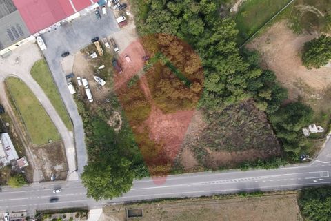 Helårsgrund i Gandra e Taiao, Viana do Castelo, Gandra e Taiao - € 50.000 | Ref: TER_87 - foto 5