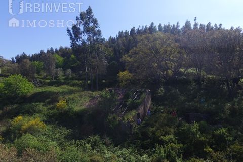 Helårsgrund i Monchique, Faro, Monchique - € 70.000 | Ref: AR00286-PT - foto 1