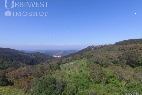 Helårsgrund i Monchique, Faro, Monchique - € 70.000 | Ref: AR00286-PT - foto 2