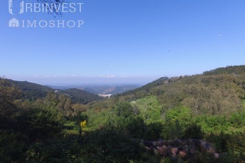 Helårsgrund i Monchique, Faro, Monchique - € 70.000 | Ref: AR00286-PT - foto 3
