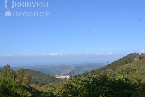 Helårsgrund i Monchique, Faro, Monchique - € 70.000 | Ref: AR00286-PT - foto 5
