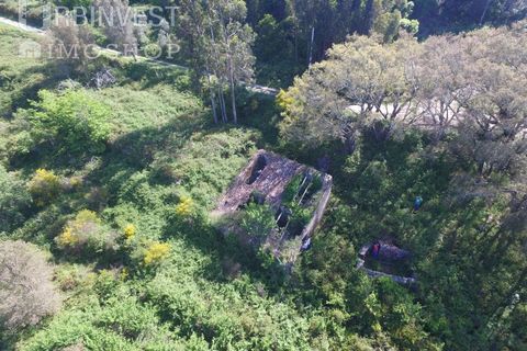 Helårsgrund i Monchique, Faro, Monchique - € 70.000 | Ref: AR00286-PT - foto 6