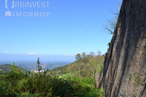 Helårsgrund i Monchique, Faro, Monchique - € 70.000 | Ref: AR00286-PT - foto 8