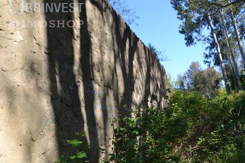 Helårsgrund i Monchique, Faro, Monchique - € 70.000 | Ref: AR00286-PT - foto 11