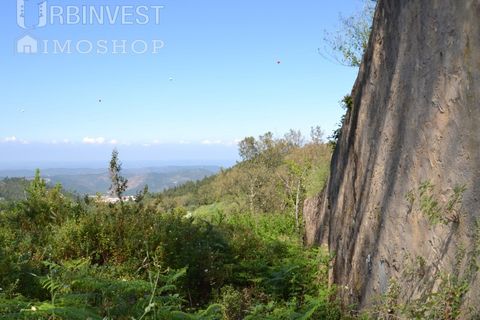 Helårsgrund i Monchique, Faro, Monchique - € 70.000 | Ref: AR00286-PT - foto 13