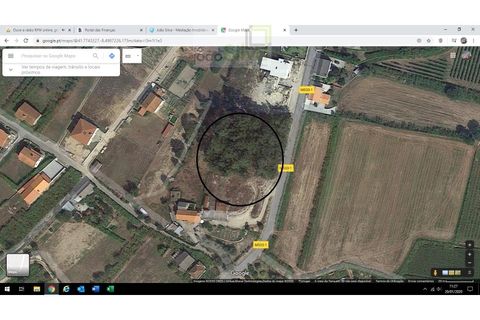 Helårsgrund i Ponte de Lima, Viana do Castelo, Ponte de Lima - € 50.000 | Ref: TER_1548A (C) - foto 2