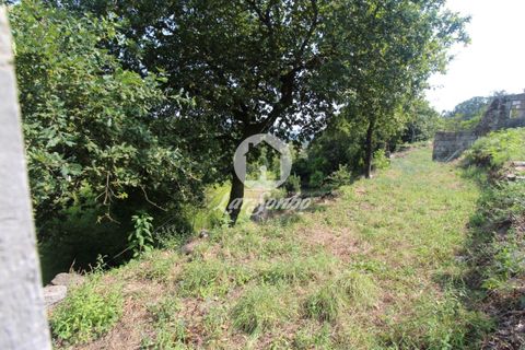 Farm i Vila Verde, Braga, Vila Verde - € 88.000 | Ref: 240-Q-22802 - foto 6