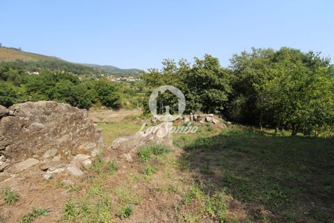Farm i Vila Verde, Braga, Vila Verde - € 88.000 | Ref: 240-Q-22802 - foto 7