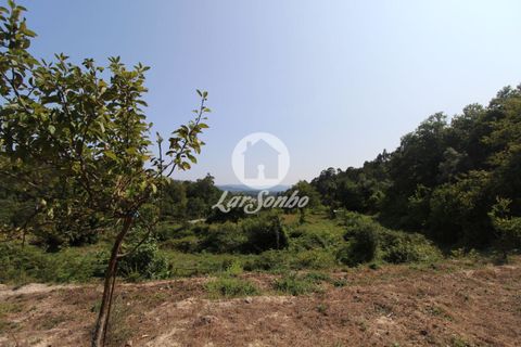 Farm i Vila Verde, Braga, Vila Verde - € 88.000 | Ref: 240-Q-22802 - foto 9