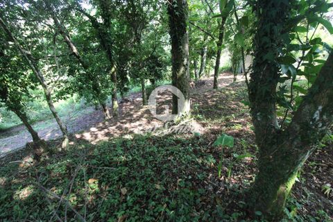 Farm i Vila Verde, Braga, Vila Verde - € 88.000 | Ref: 240-Q-22802 - foto 12