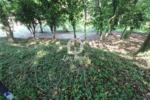 Farm i Vila Verde, Braga, Vila Verde - € 88.000 | Ref: 240-Q-22802 - foto 13