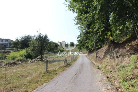 Farm i Vila Verde, Braga, Vila Verde - € 88.000 | Ref: 240-Q-22802 - foto 15