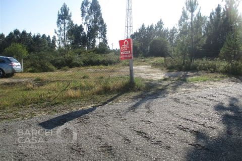 Erhvervsejendom i Barcelos, Braga, Barcelos - € 150.000 | Ref: 189/17 - foto 3