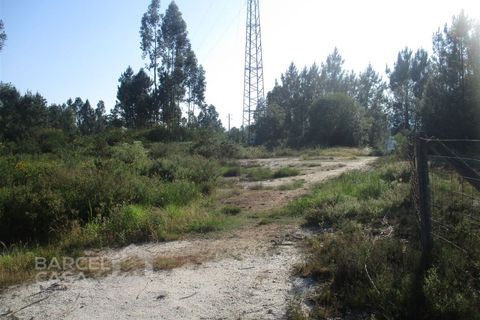 Erhvervsejendom i Barcelos, Braga, Barcelos - € 150.000 | Ref: 189/17 - foto 4