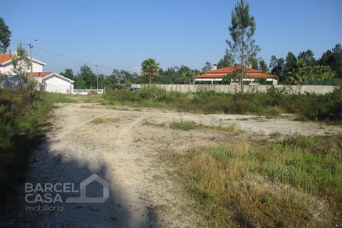 Erhvervsejendom i Barcelos, Braga, Barcelos - € 150.000 | Ref: 189/17 - foto 6