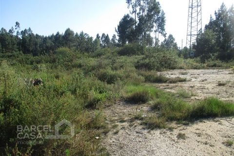 Erhvervsejendom i Barcelos, Braga, Barcelos - € 150.000 | Ref: 189/17 - foto 1