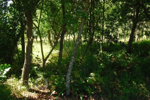 Helårsgrund i Barcelos, Braga, Barcelos - € 110.000 | Ref: 176/17 - foto 4