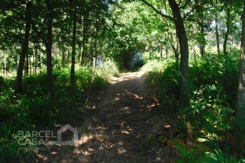 Helårsgrund i Barcelos, Braga, Barcelos - € 110.000 | Ref: 176/17 - foto 5