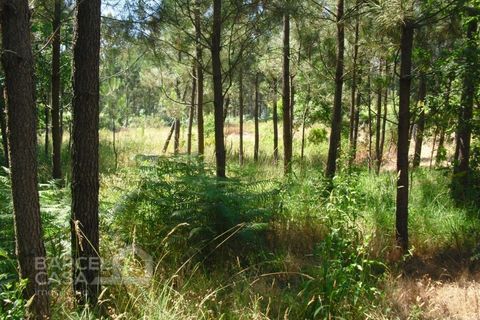 Helårsgrund i Barcelos, Braga, Barcelos - € 110.000 | Ref: 176/17 - foto 6