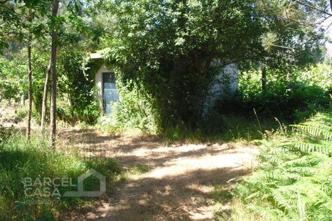 Helårsgrund i Barcelos, Braga, Barcelos - € 110.000 | Ref: 176/17 - foto 7