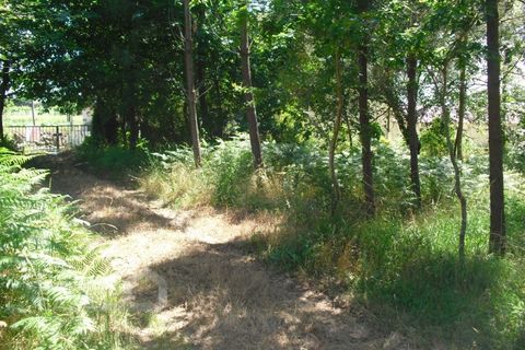 Helårsgrund i Barcelos, Braga, Barcelos - € 110.000 | Ref: 176/17 - foto 8
