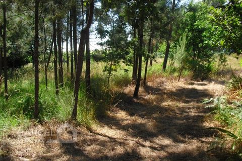 Helårsgrund i Barcelos, Braga, Barcelos - € 110.000 | Ref: 176/17 - foto 9