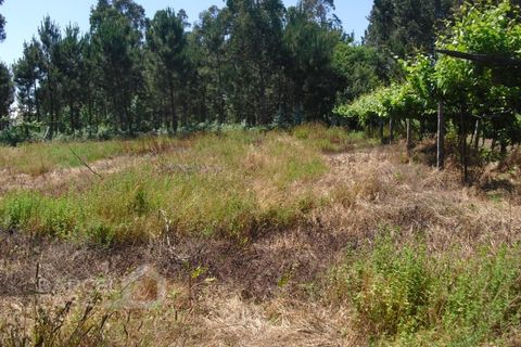 Helårsgrund i Barcelos, Braga, Barcelos - € 110.000 | Ref: 176/17 - foto 11