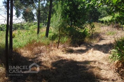 Helårsgrund i Barcelos, Braga, Barcelos - € 110.000 | Ref: 176/17 - foto 13