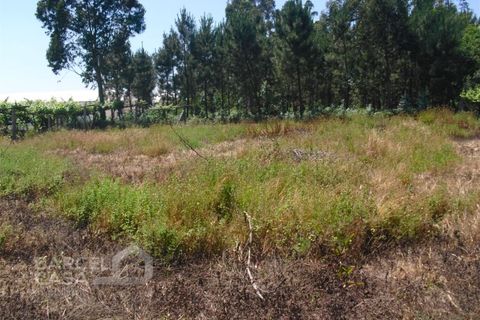 Helårsgrund i Barcelos, Braga, Barcelos - € 110.000 | Ref: 176/17 - foto 14