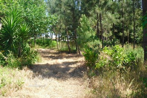 Helårsgrund i Barcelos, Braga, Barcelos - € 110.000 | Ref: 176/17 - foto 15