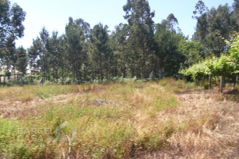 Helårsgrund i Barcelos, Braga, Barcelos - € 110.000 | Ref: 176/17 - foto 16