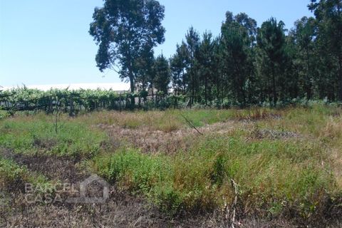 Helårsgrund i Barcelos, Braga, Barcelos - € 110.000 | Ref: 176/17 - foto 17