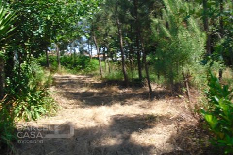 Helårsgrund i Barcelos, Braga, Barcelos - € 110.000 | Ref: 176/17 - foto 18