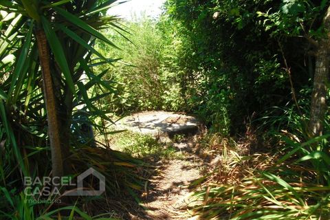 Helårsgrund i Barcelos, Braga, Barcelos - € 110.000 | Ref: 176/17 - foto 19