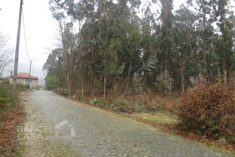 Helårsgrund i Barcelos, Braga, Barcelos - € 75.000 | Ref: 31/17 - foto 2