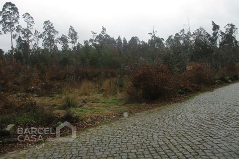 Helårsgrund i Barcelos, Braga, Barcelos - € 75.000 | Ref: 31/17 - foto 3