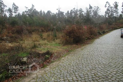 Helårsgrund i Barcelos, Braga, Barcelos - € 75.000 | Ref: 31/17 - foto 4
